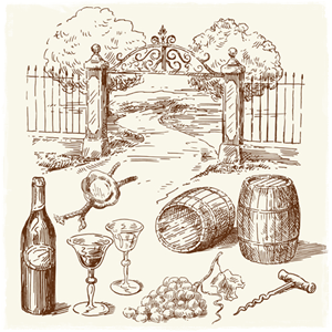 Chardonnay wino