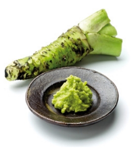 fresh wasabi japonica