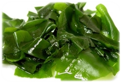 wakame