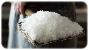maldon sea salt production 