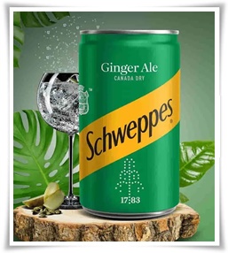 Canada Dry Ginger Ale Canada Dry Ginger Ale