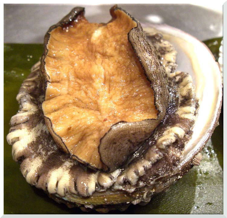 abalone