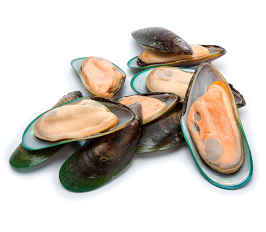 małże nowozelandzkie greenshell mussels