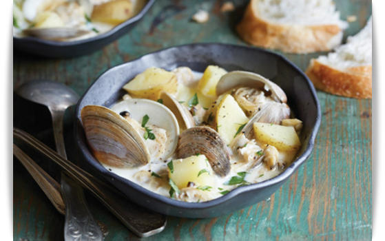 clams chowder 