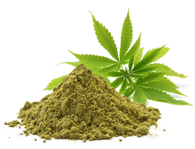 Białko konopne Chrupki Hemp Crunch Paprika