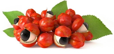 guarana